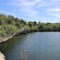 Diverse tropical foliage growing alongside a body of water